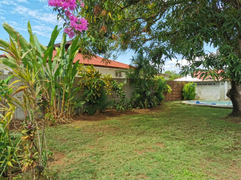 Jardin impeccable après l'arrivée de nos jardiniers paysagistes en Guyane